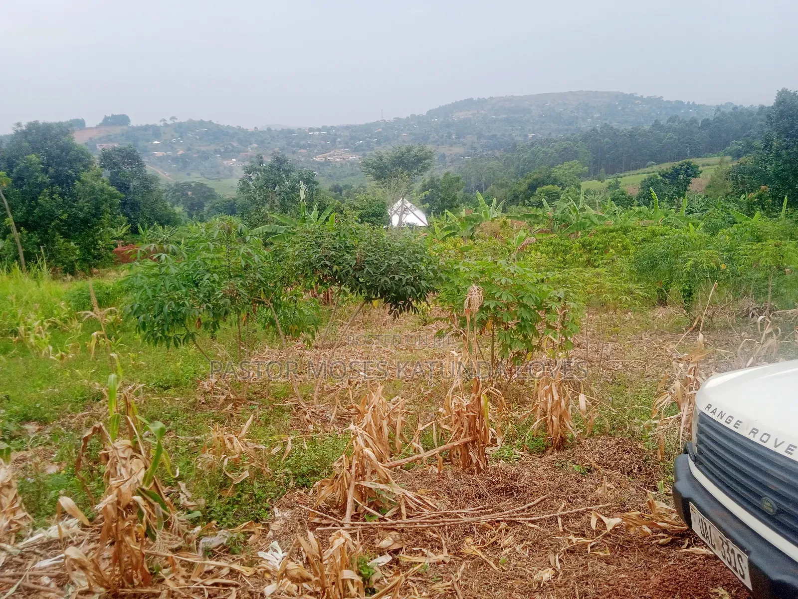 Land in Mpigi 31 Decimals
