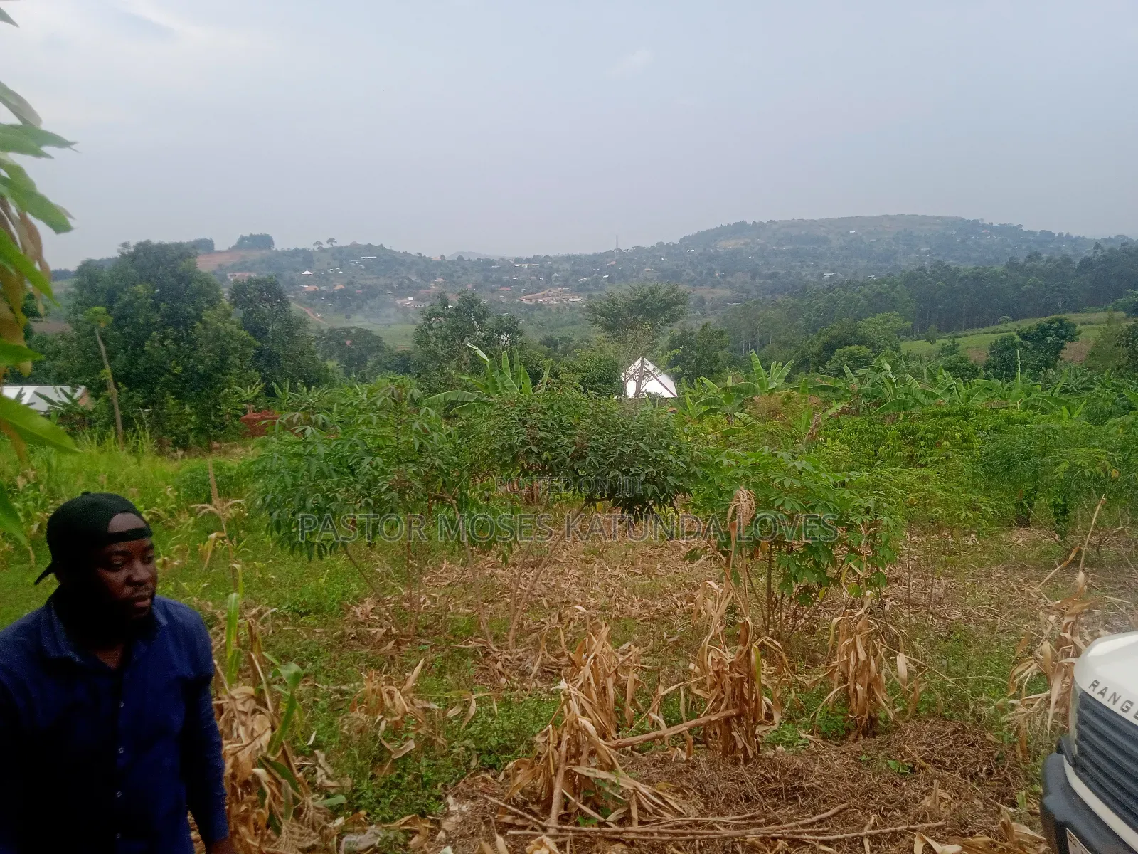 Land in Mpigi 31 Decimals