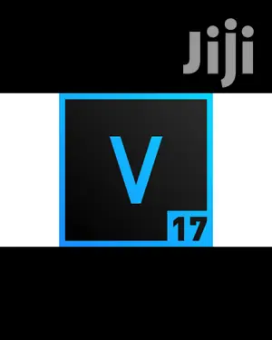 Sony Vegas Pro 17 2019