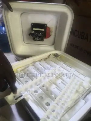 Eggs Incubator