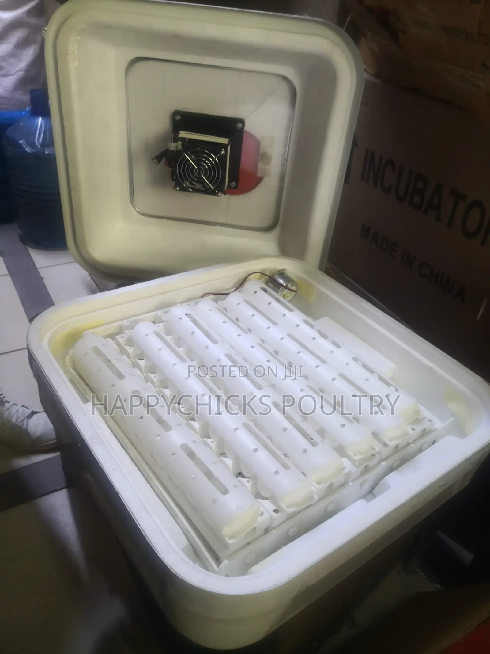 Eggs Incubator