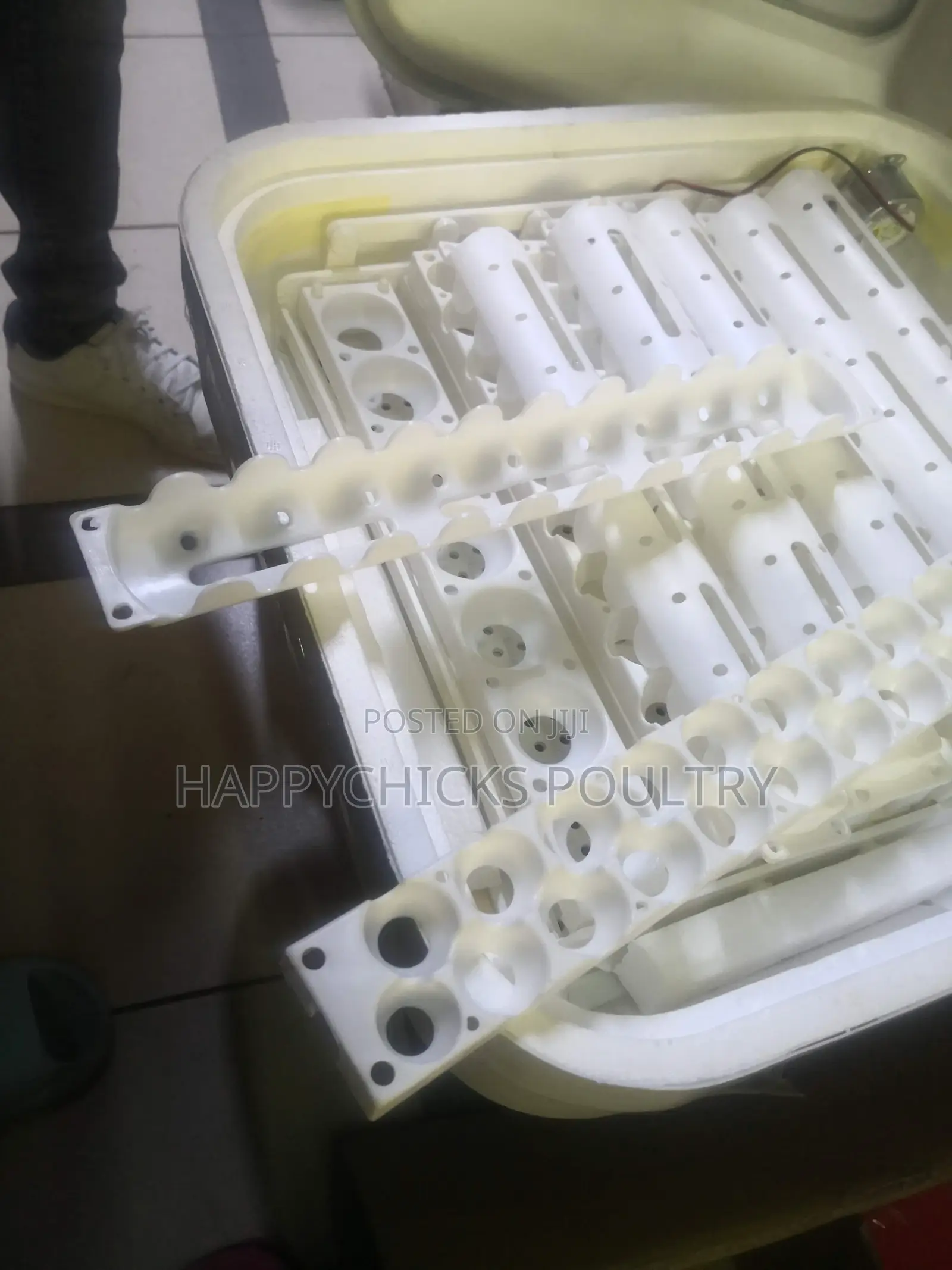 Eggs Incubator
