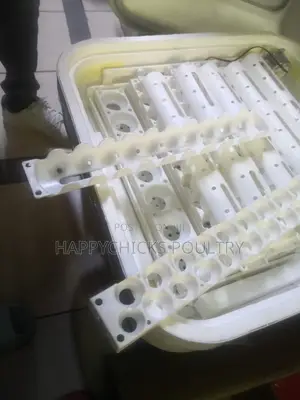 Eggs Incubator