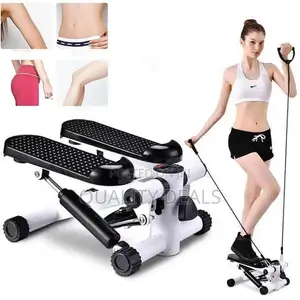 Mini Stepper Machine