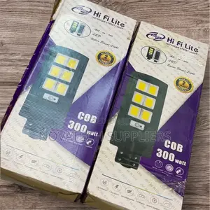 300W Hi Fi Lite Solar Street Lights Fenwick