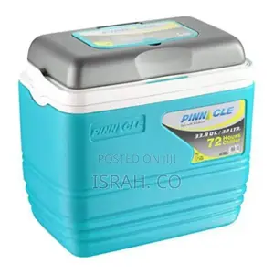 Insulated Cooler Box 32L Box