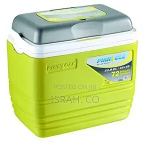 Insulated Cooler Box 32L Box