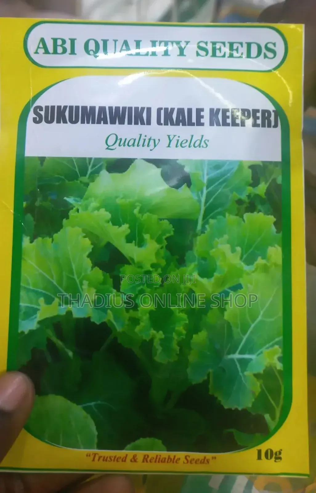 Sukumawiki(Kale Keeper) Seeds. Grow in Your Small Garden