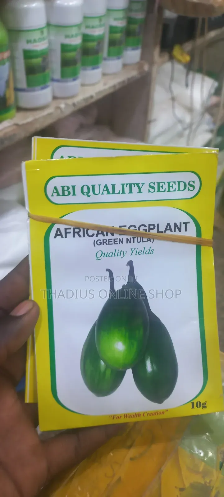 African Eggplant Seeds (Ntula)Seeds