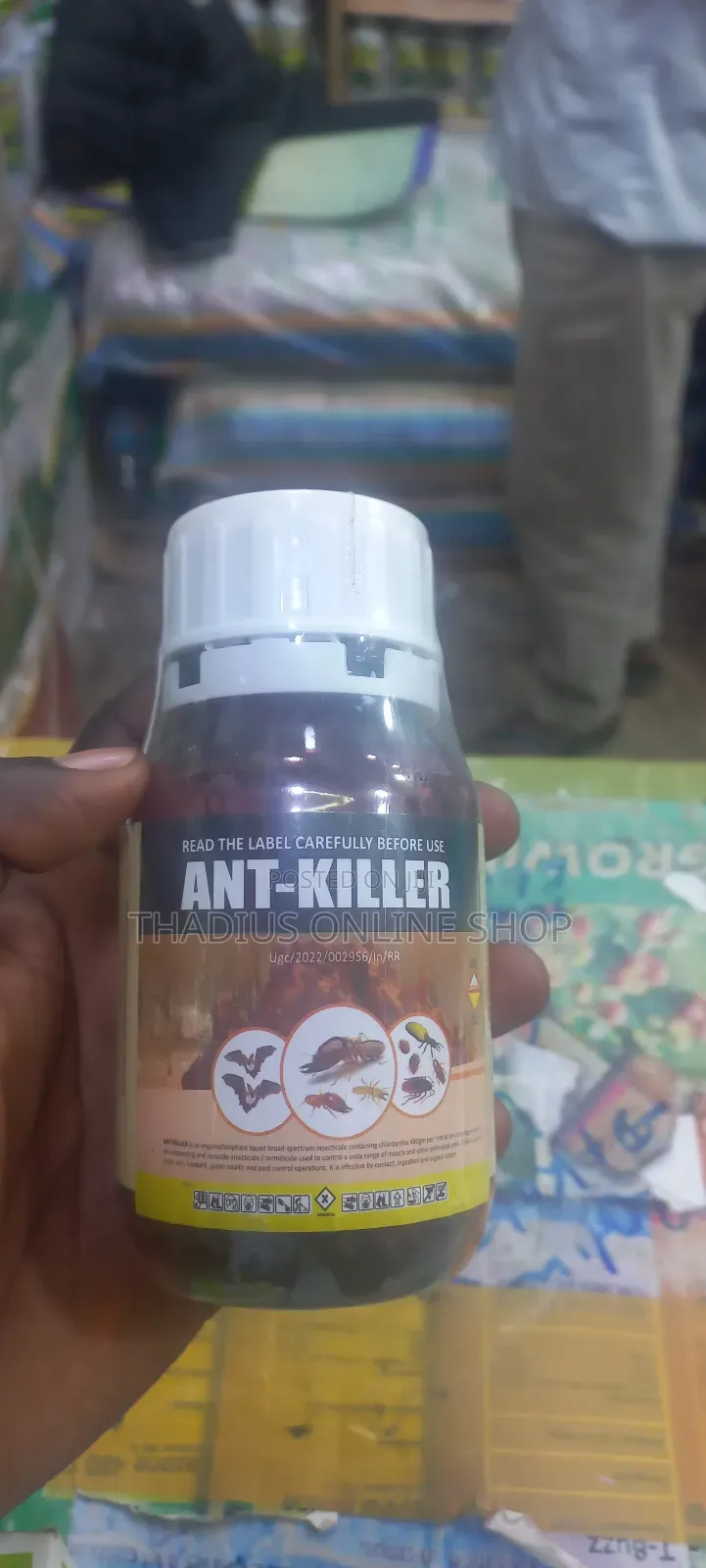 Best Anti-Killers and All Termites in the Anti Hill