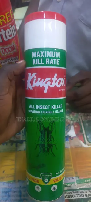 Kingtox All Insects Killer Sprayer Mostly Flying Insects