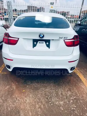 Photo - BMW X6 2014 White