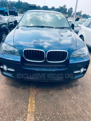Photo - BMW X6 2011 Blue