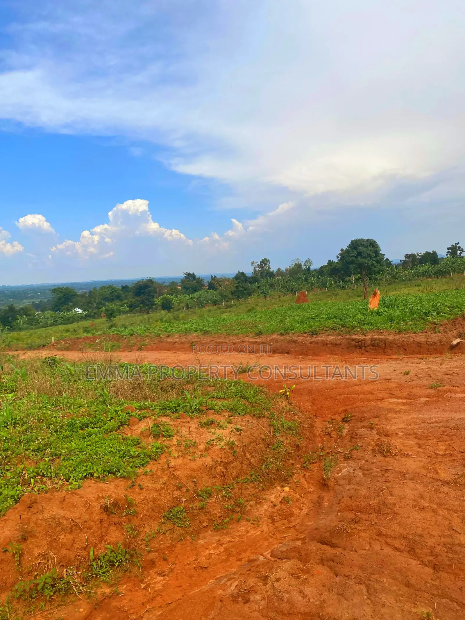 *Mukono Kabimbiri Town Estate Along Kayunga Rd 100by50fts