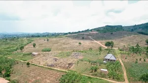 Plot for Sale at Wakiso Bulabakulu