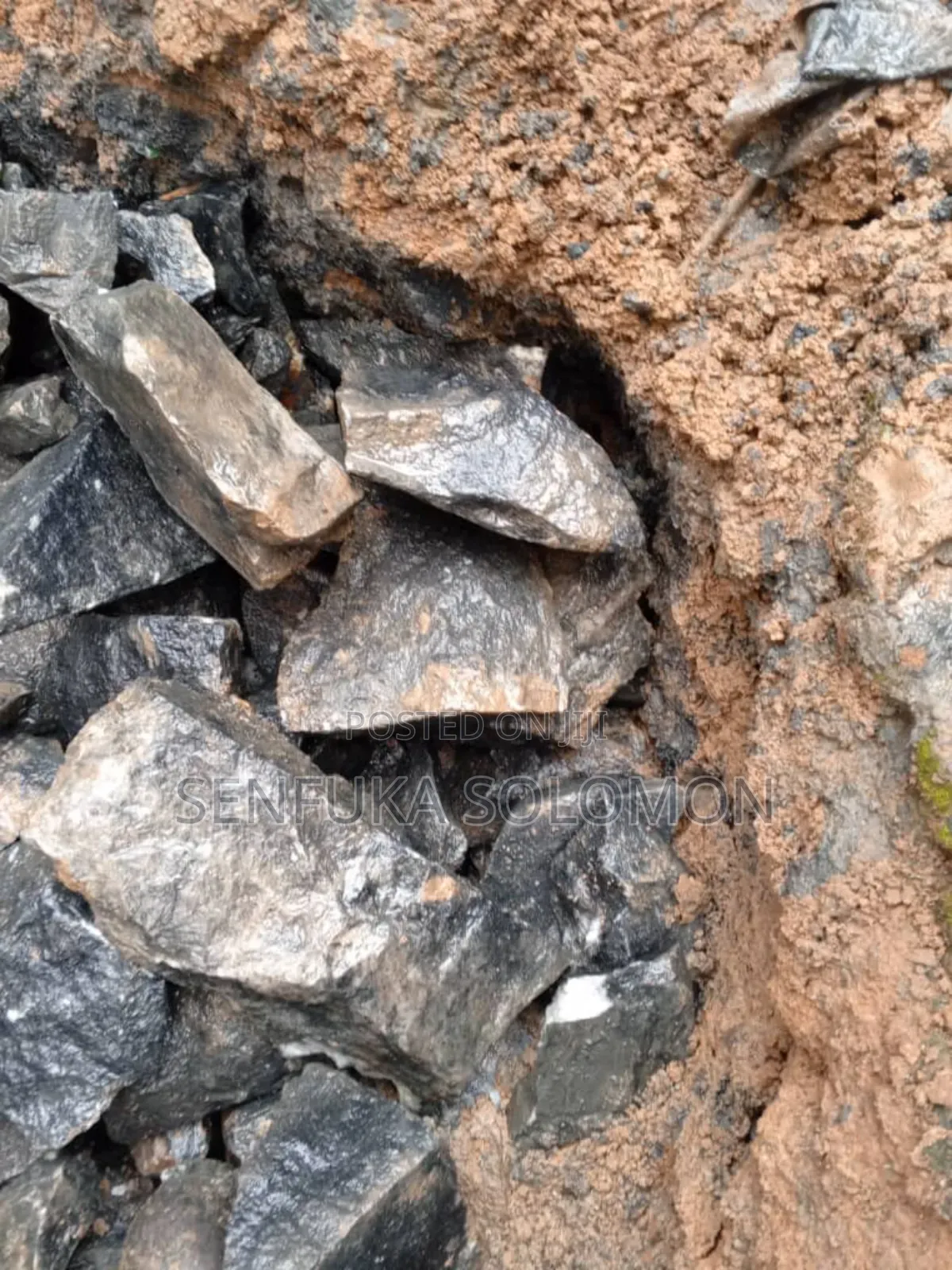 Septic Tank Emptying+ Renovations and Water Supply