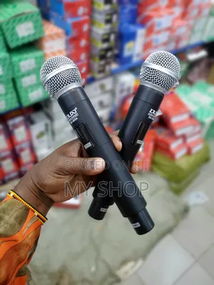 Wireless Microphone (Double)