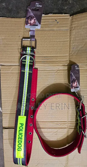 Heavy-Duty Dog Collar