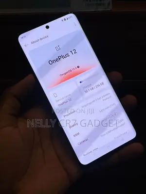 OnePlus 12 256 GB Black