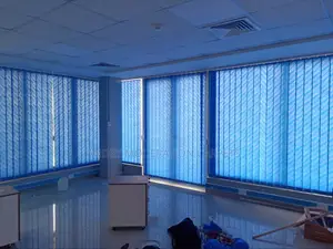 Light Office Blind Curtains