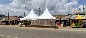 Tents 100 Capacity
