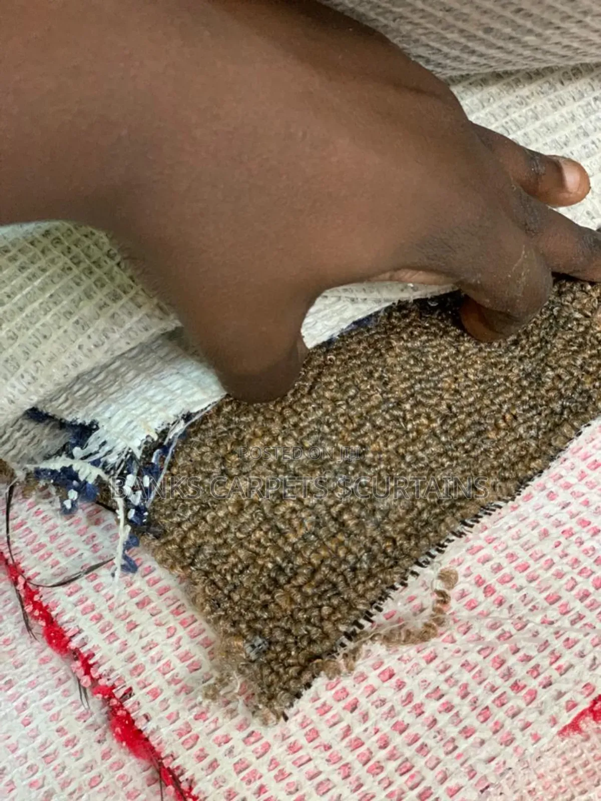 Woleen Carpets