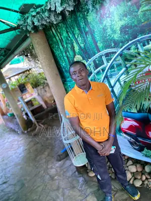 Photo - Cashiers to Work in Nsangi