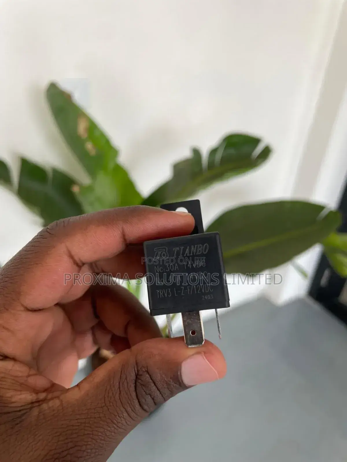 Relay and Relays Socket 12/24volts