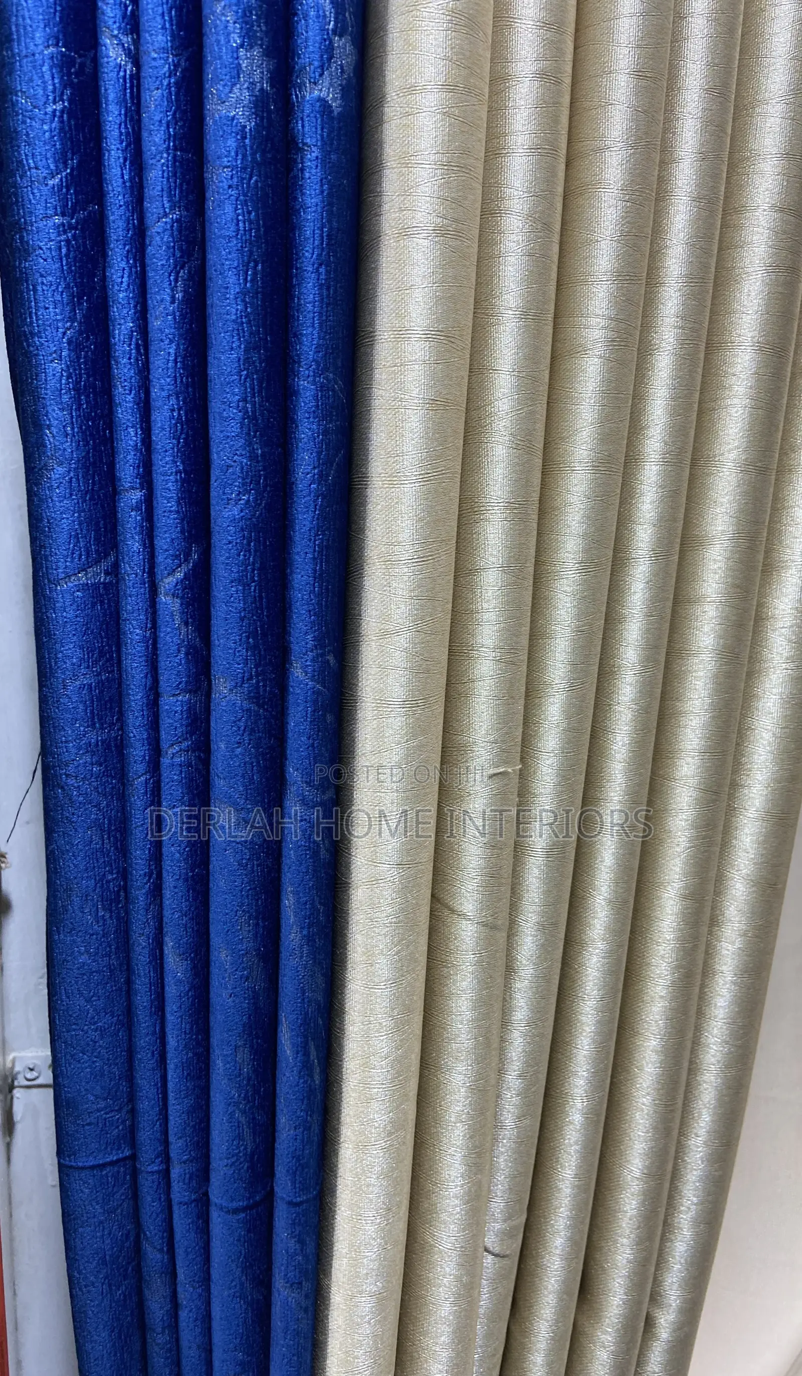 Loyal Blue And Cream