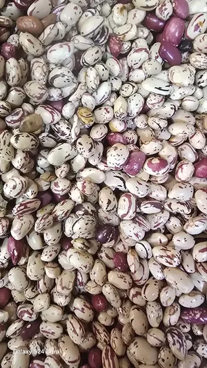 Nambale Beans