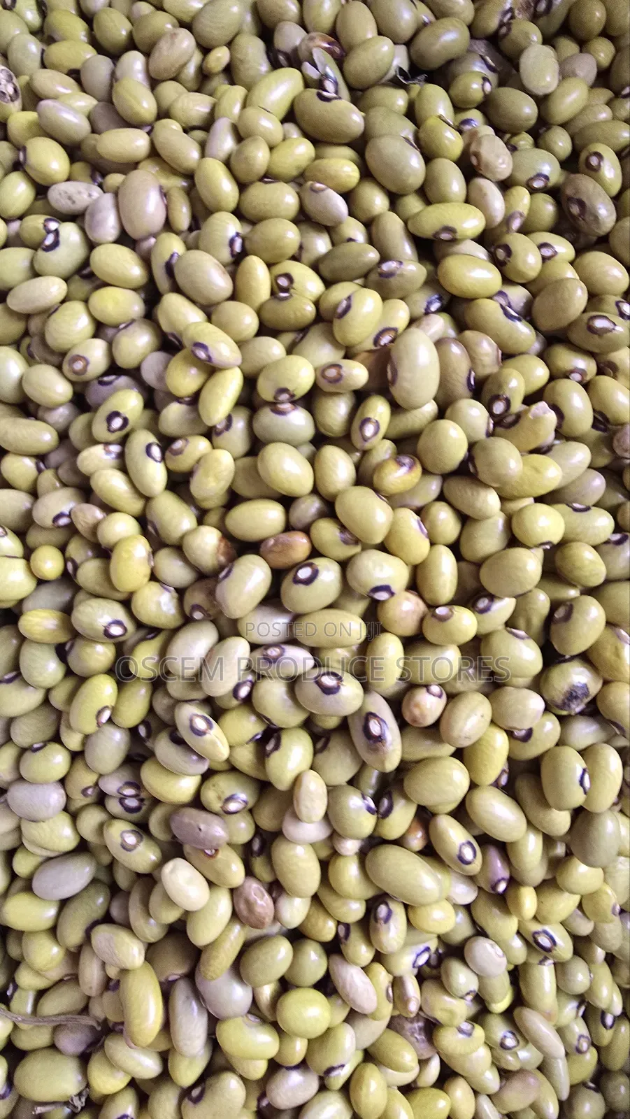 Nambale Beans