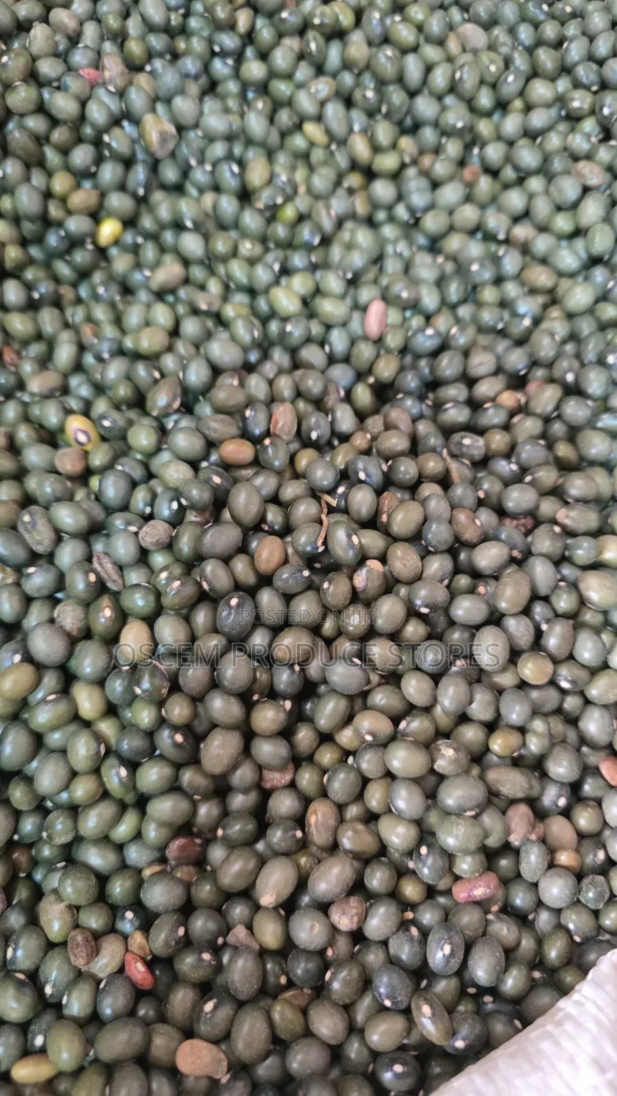 Nambale Beans