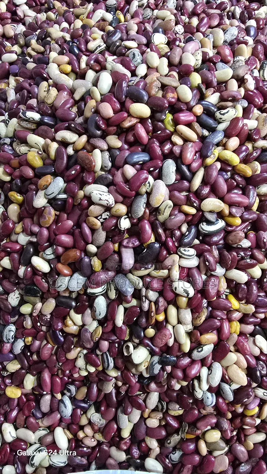 Nambale Beans