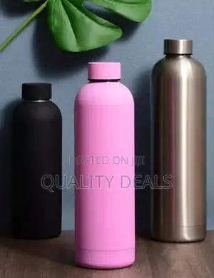 Stainless Steel Travel Bottle