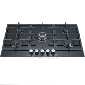 Electro Master 5 Gas Auto Ignition Burner