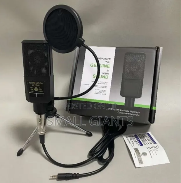 AUTNE HTLCA LGT 240 Studio Condenser Microphone in Central