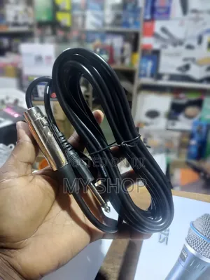 Shure Microphone