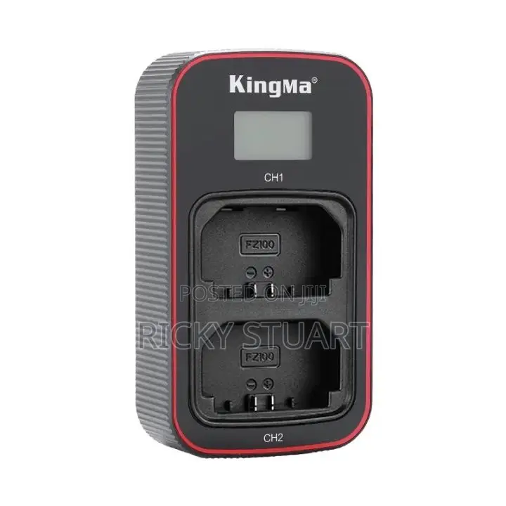 Lp-E6 Battery USB LCD Dual Charger for Canon