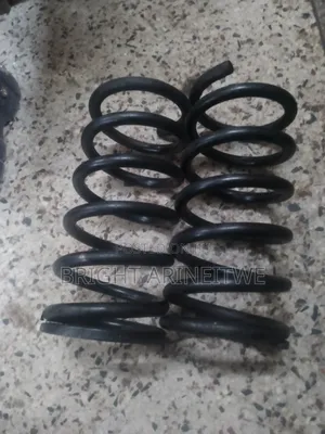 Rear Springs for Noah Old Model