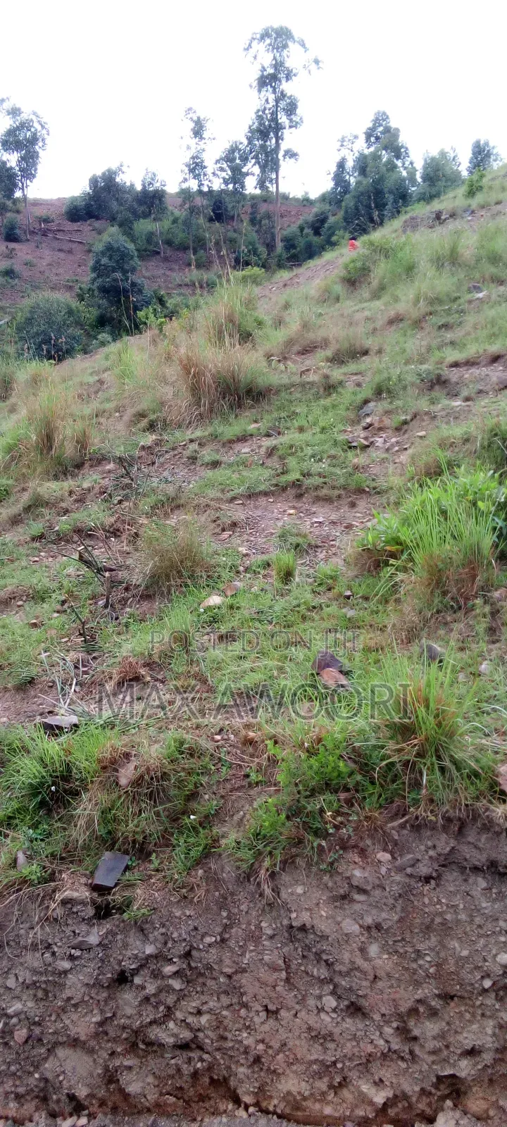 100*100 Plots for Sale in Kakoba Buremba Mbarara City