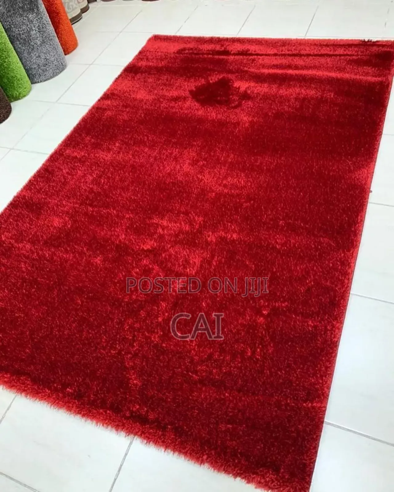 Tommy Shaggy Carpet