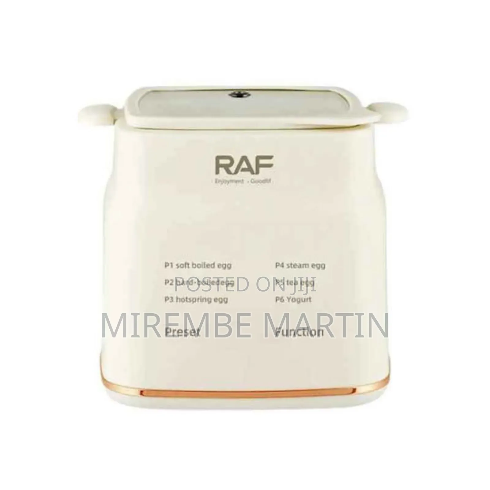Raf Egg Boiler 300W