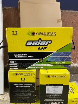 100ah Durable Gold Star Batteries/ Maintenance Free Zeph
