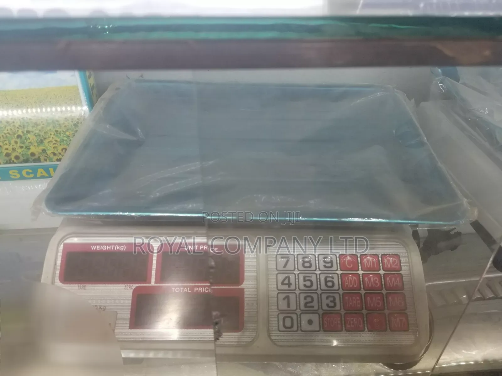 Weighing Scale /Pricing Scale