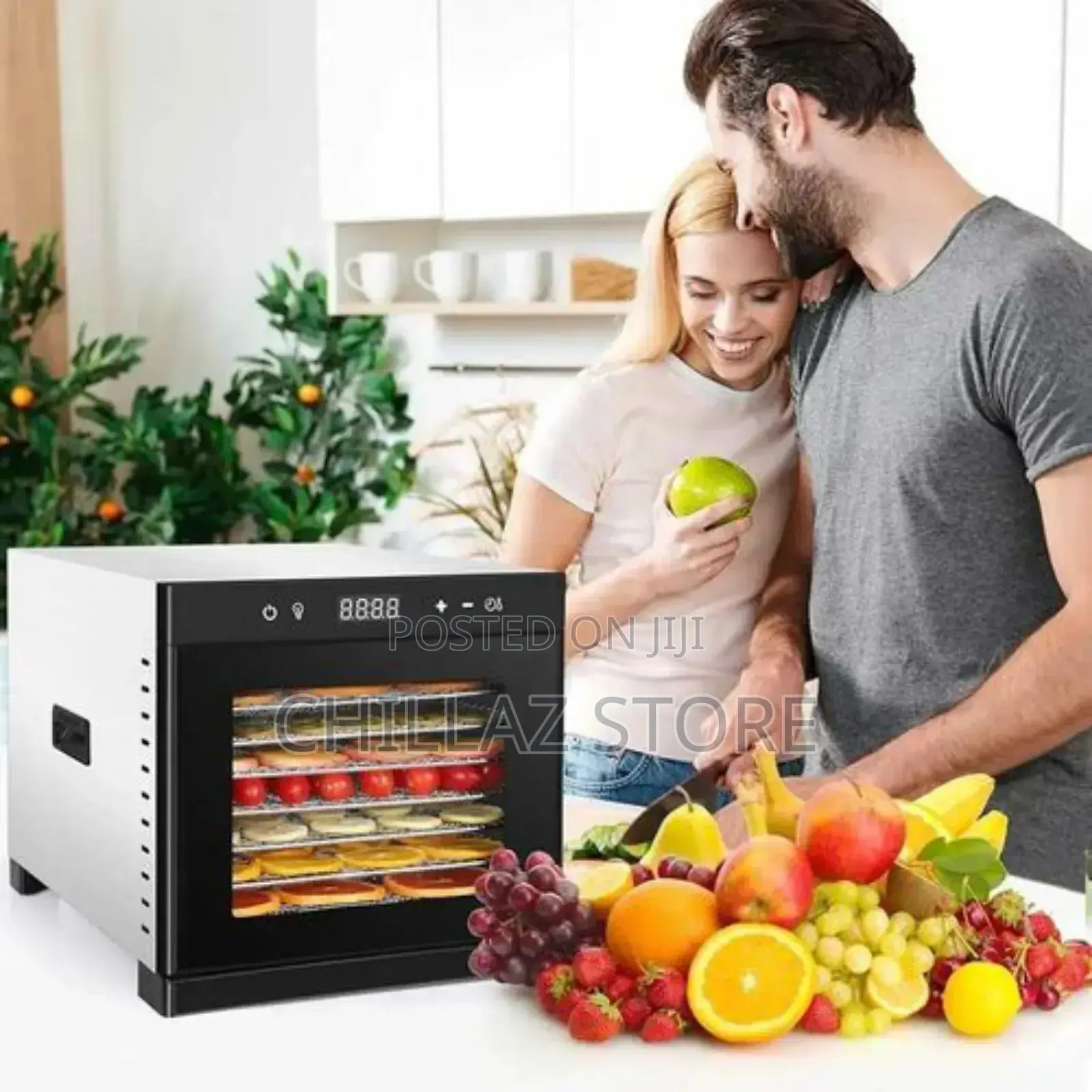 Commercial Electric 6 Tray Stainless Steel Dryer Machine