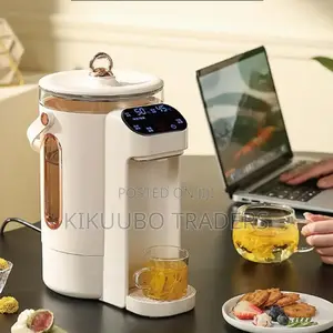 Raf Electric 3.0L Water Boiler/ Kettle