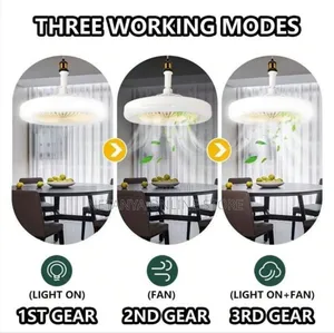 Led Multifunction Fan Light