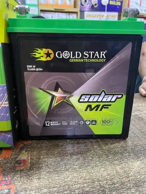 40ah Gold Star German Technology MF Batteries Riven