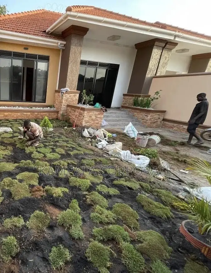 South African Grass and Paspalum Free Planting