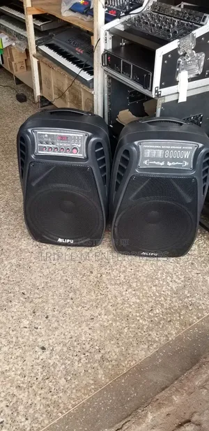 Ailipu Amplified Speaker With No Battery